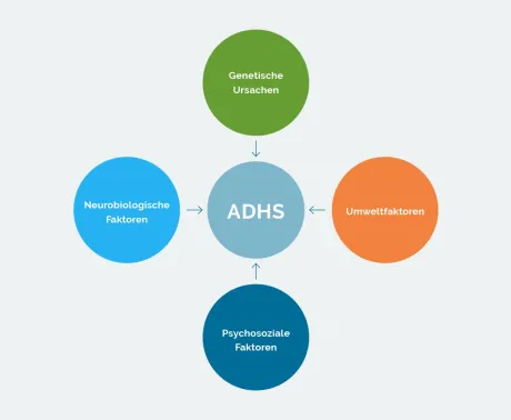 adhs-bei-kindern-und-jugendlichen_ursachen-folgen.jpg