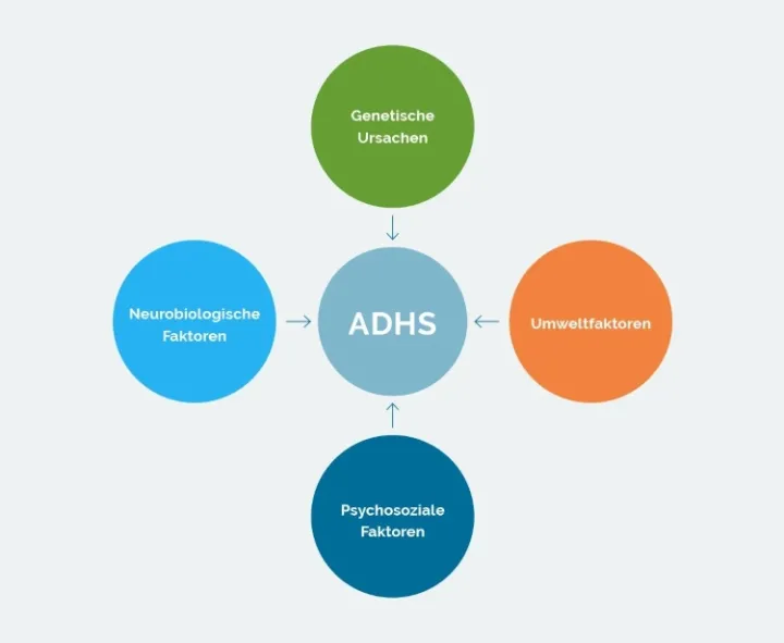 adhs-bei-kindern-und-jugendlichen_ursachen-folgen_1